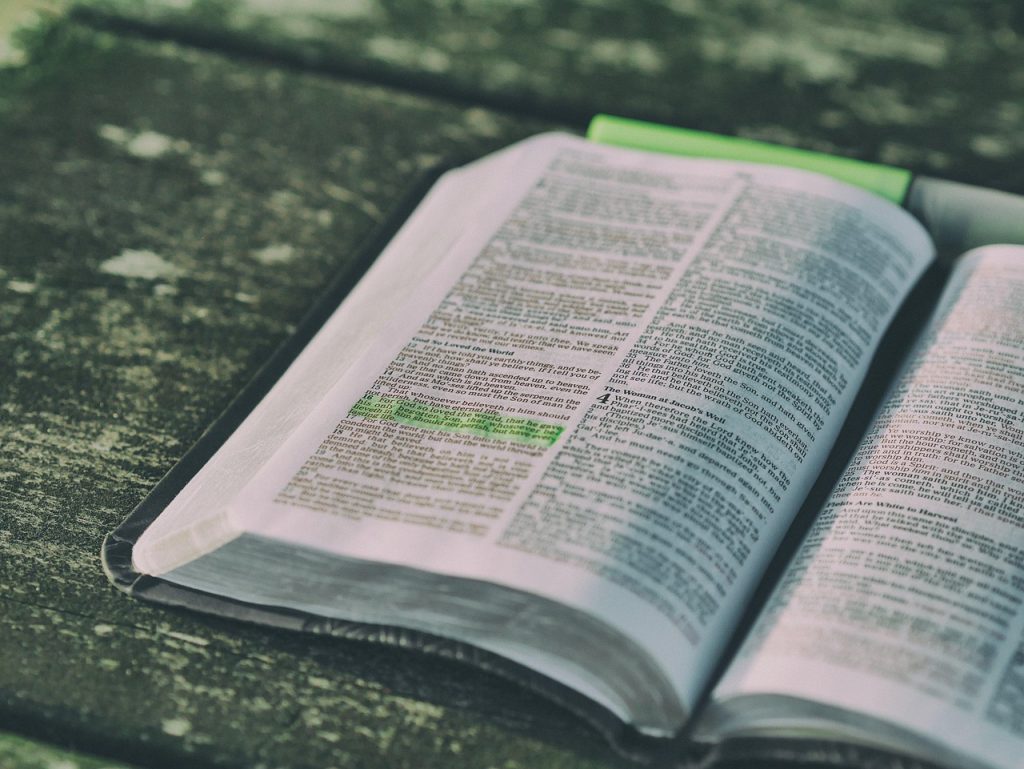 bible, book, open, open bible, open book, pages, chapters, bible reading, bible study, scriptures, bible scriptures, knowledge, literature, paper, print, study, bible, bible, bible, bible, bible